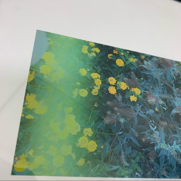 Lovely Star Original Photography Print - Picture 4 of 9